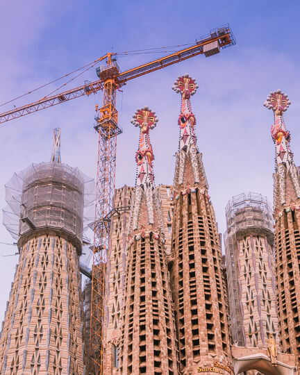 Business Development image 3